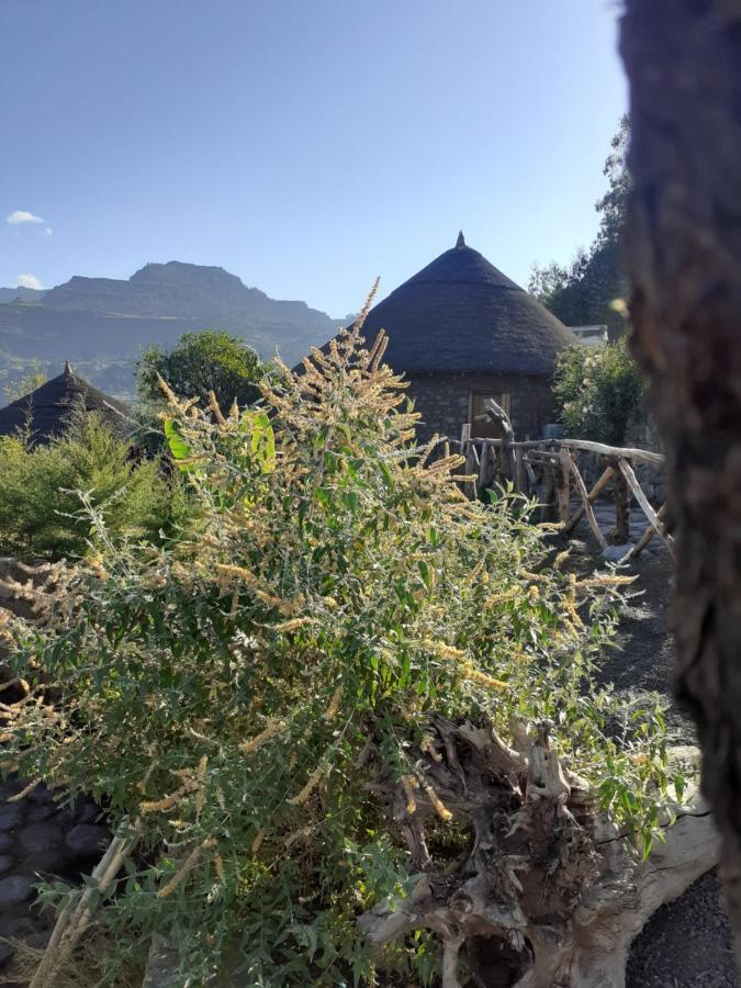 Bethan Amba Ecovillage Lalibela Exterior photo